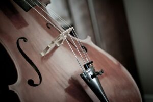 I violoncellisti di Natalia Gutman