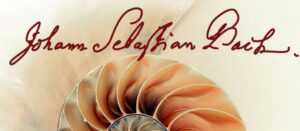 Progetto Bach - Sonate Suite e Partite II