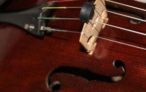 Viola Fest