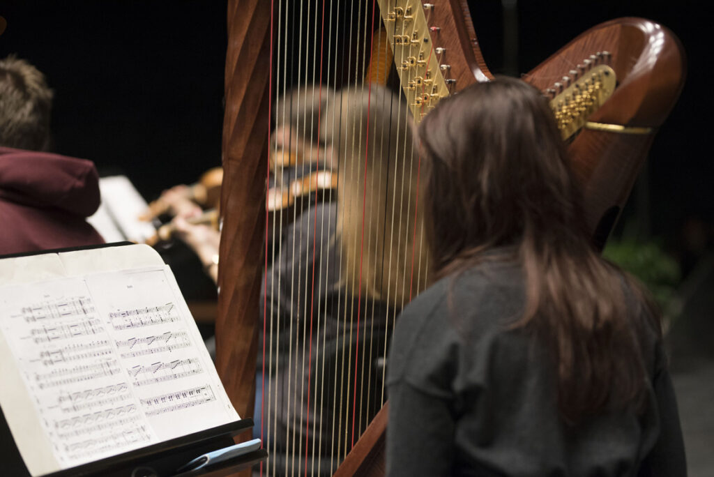 concerto-di-capodanno-2018-7