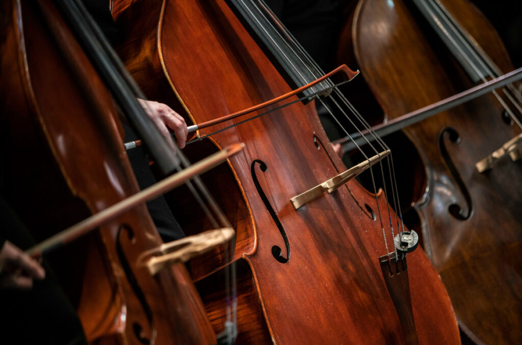 strings-city-2018-foto-marco-borelli-19