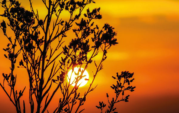 Concerto al tramonto I